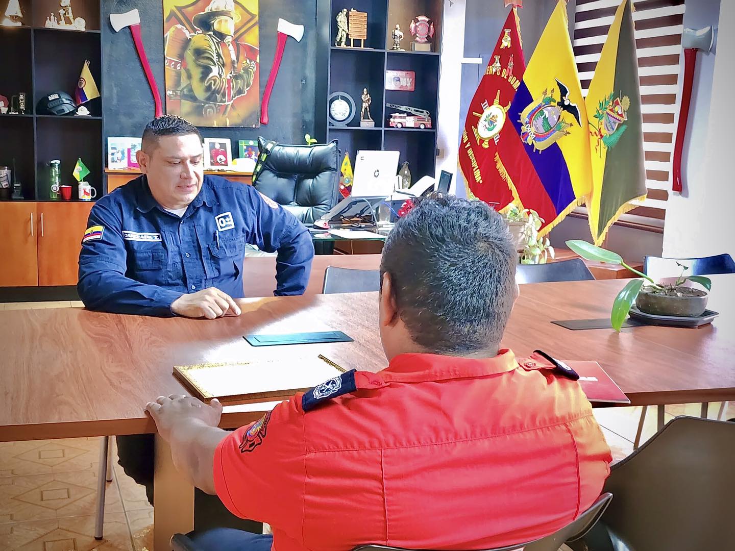La solidaridad es la ternura de los pueblos